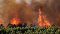 France records 2,025 excess deaths at peak of heatwave as Europe braces for more extreme weather