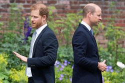 'I saw Prince Harry and Prince William at private members' club - this surprised me most'