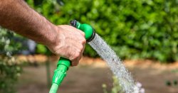 First hosepipe ban issued since 1995 by water company as UK heatwave continues