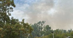 Woolwich fire LIVE: London firefighters swarm to blaze near Woolwich Common