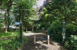 Man in 60s arrested after woman 'raped' in Bournemouth nature reserve near UK beach