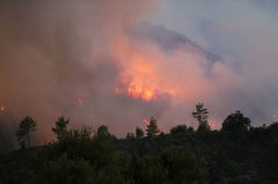 Homes destroyed and tourist spots evacuated as wildfire tears through parts of Turkey