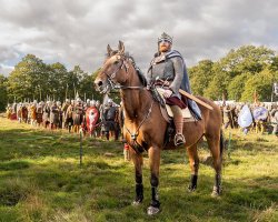 Bayeux Tapestry brought to life in huge 1066 reenactment ahead of 960th anniversary