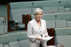 Helen Haines: Australian MP rushed to hospital after being struck by car as man arrested