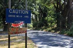 Second UK village to hold referendum as asylum seeker camp plans spark outrage