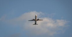 Aer Lingus to cut 'poor performing routes' - up to 500 jobs at risk