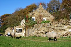 Picture-perfect autumnal village loved by hikers has one of UK's best riverside pubs