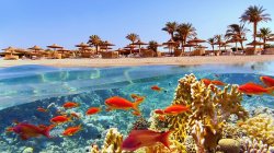 'I'm a travel expert — here are the 10 'best' winter sun destinations 6 hours from the UK'